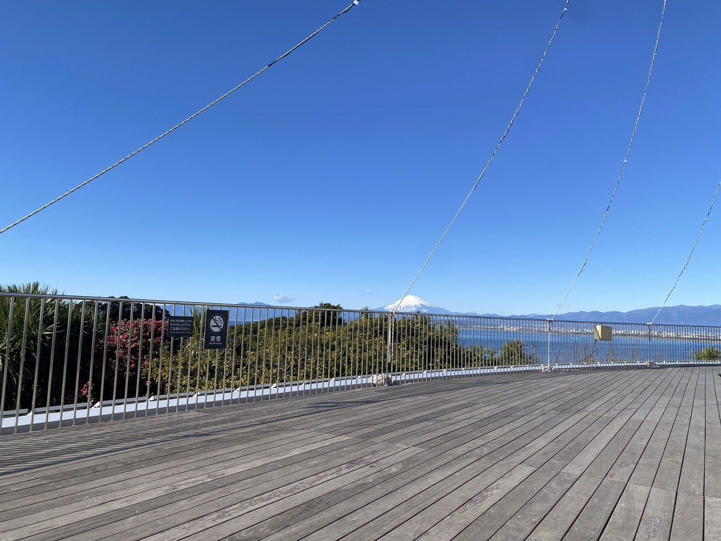 晴れた冬の日、江の島シーキャンドルの展望デッキ。木の床と手すりの向こうに相模湾と湘南の海岸線が広がり、遠くに雪をかぶった富士山と山並みが見える。