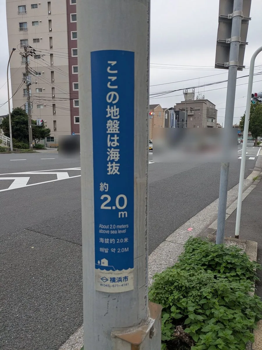 電柱に貼られた青い表示。「ここの地盤は海抜約2.0m」と書かれ、下に横浜市の名前がある。奥は交差点と建物